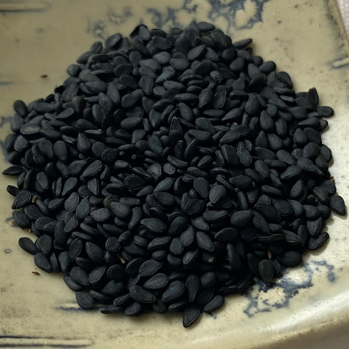 IMG_6489_1200x1200.jpg?v=