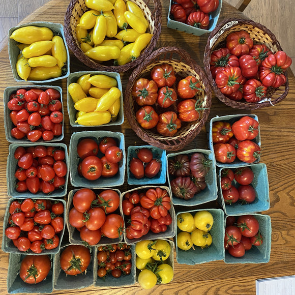 A table full of organic, heirloom tomatoes