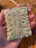 Loofah Plant (Luffa Plant)