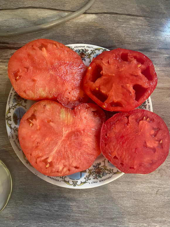 Feuerwerk Tomato