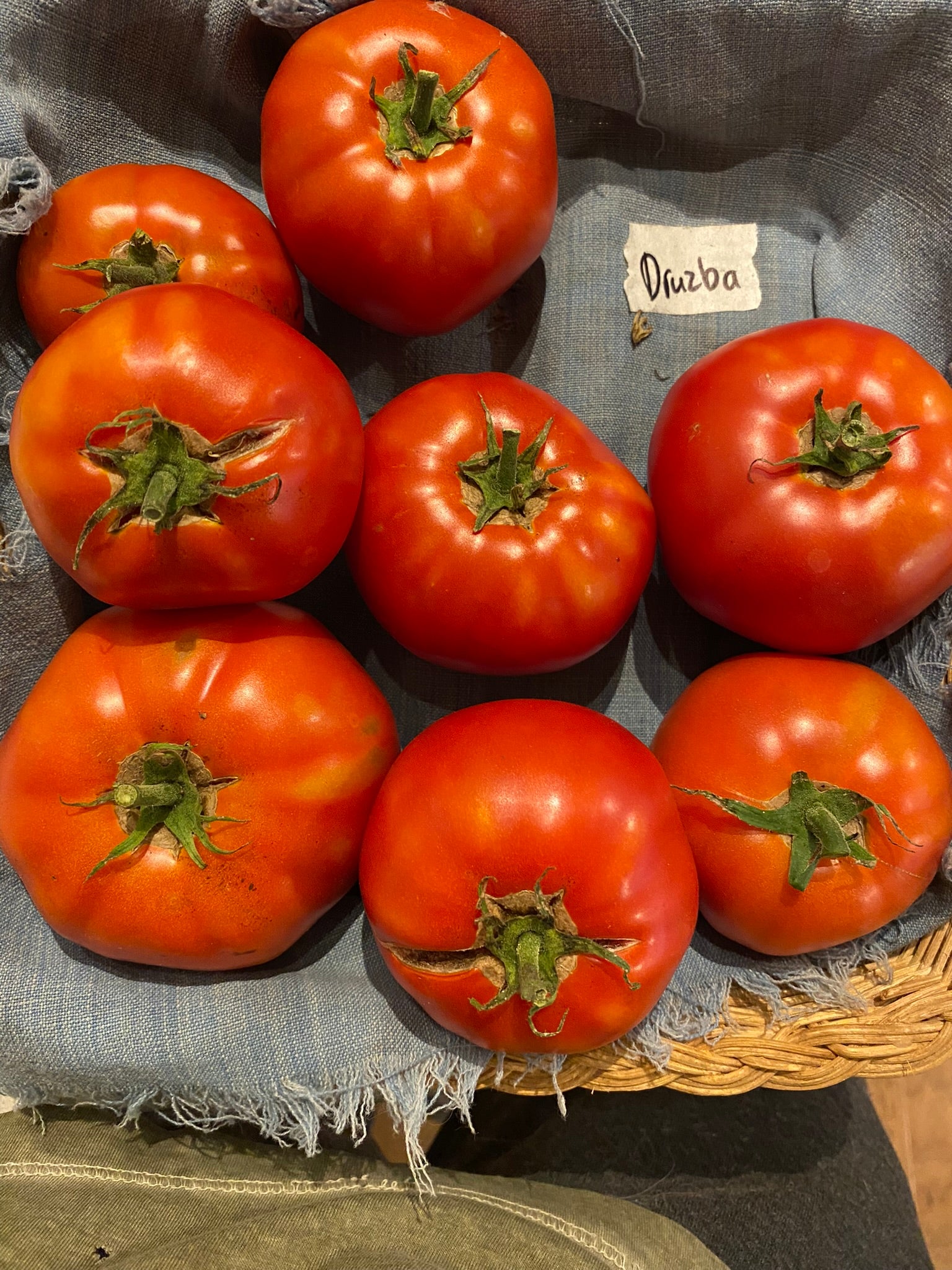 Druzba Tomato – Franken Farm Seed Company