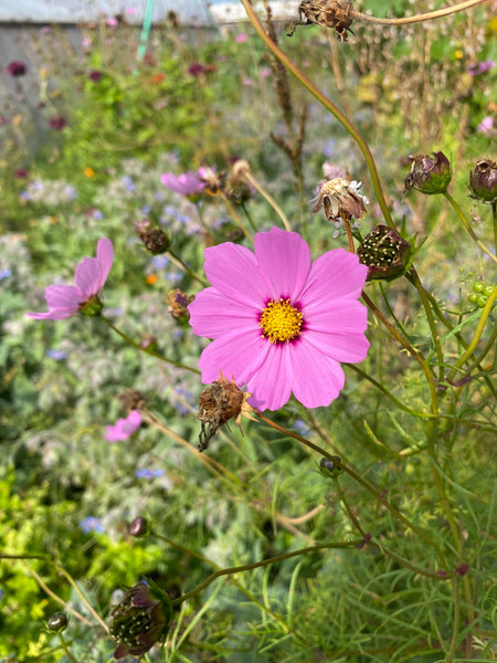 IMG_5326_60a83933-af42-43e0-