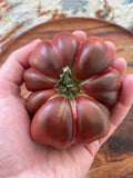 Black Ruffle Tomato