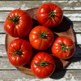 Magnum Beefsteak Tomato