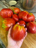 Ardwyna Paste Tomato