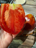 Ardwyna Paste Tomato