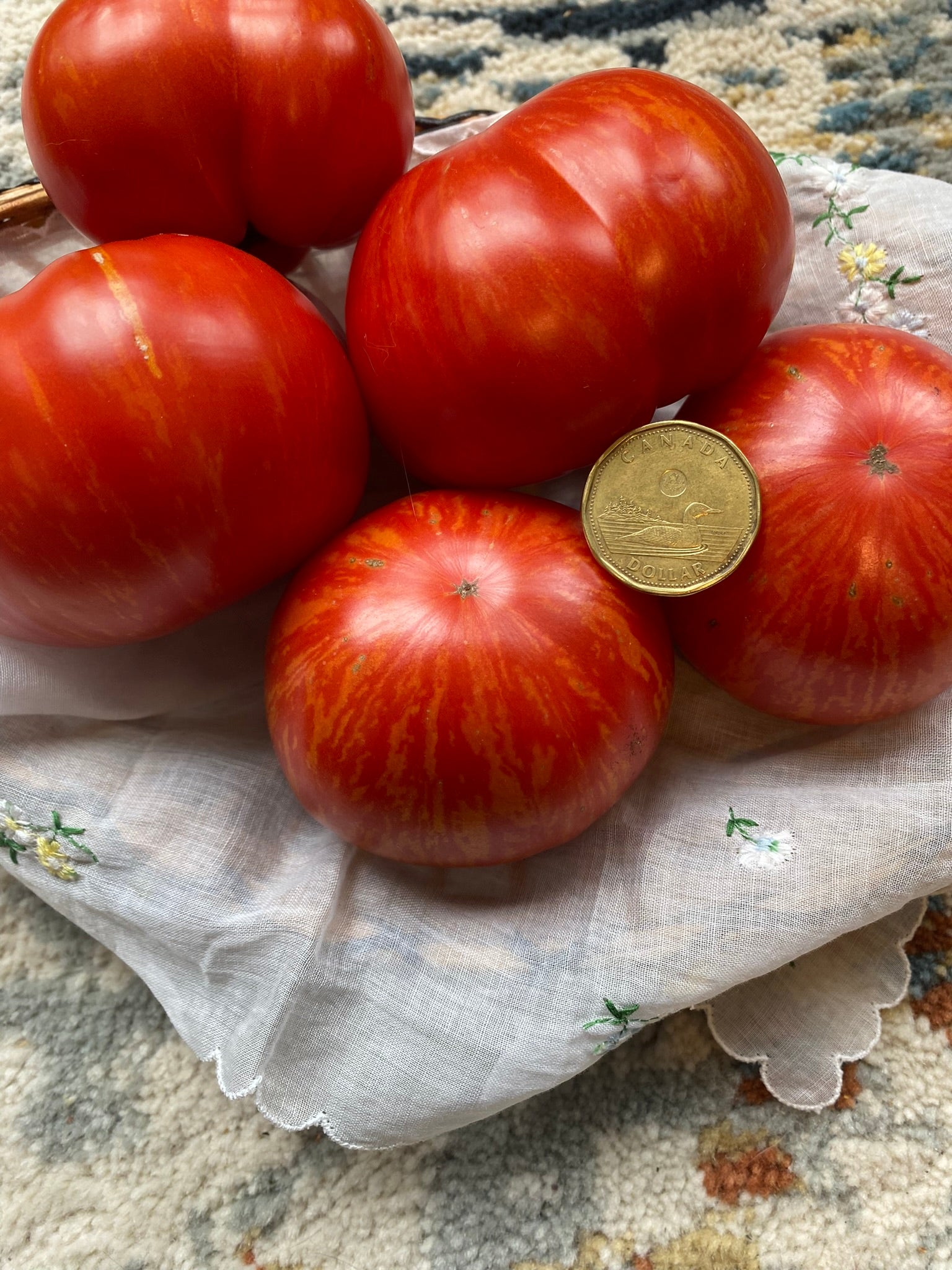 Solar Flare Tomato – Franken Farm Seed Company