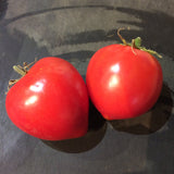 Forme de Coeur Tomato