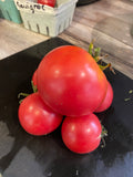 Savignac Tomato