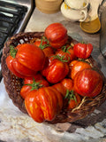 Striped Cavern Tomato