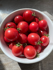 Whippersnapper Dwarf Cherry Tomato