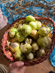 Purple Tomatillo